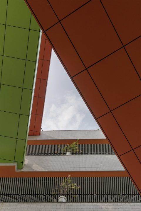 Sức Khỏe