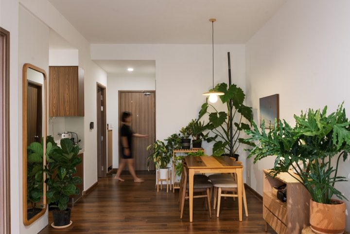 Akira apt