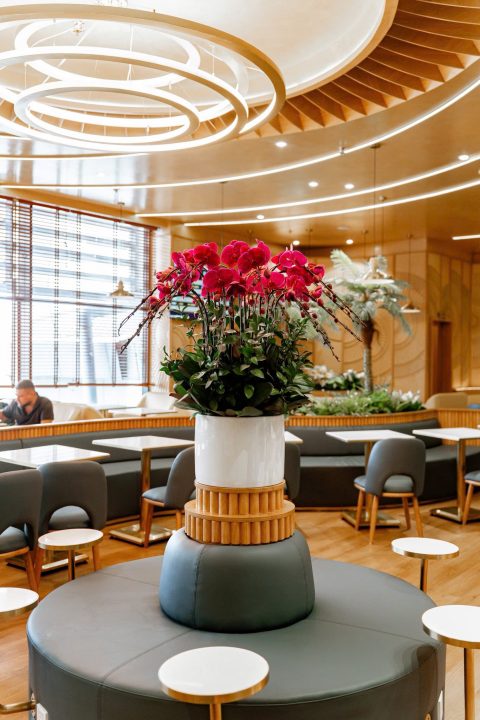 Loutus Lounge