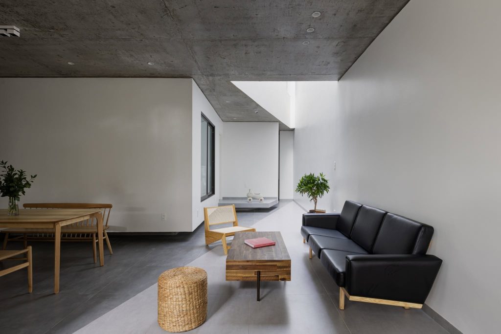 X House
