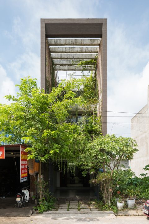 Ndt Tlc Home