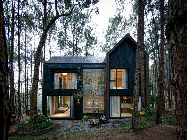 Villa Of The Woods
