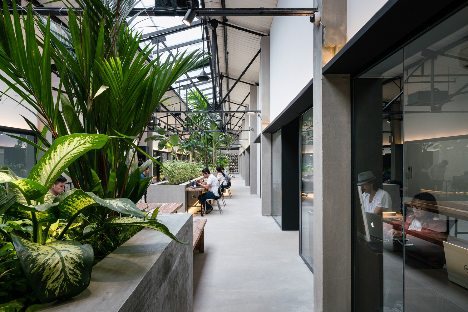Jungle Station