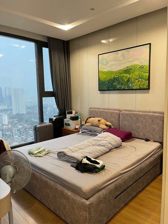 Vinhomes Metropolis