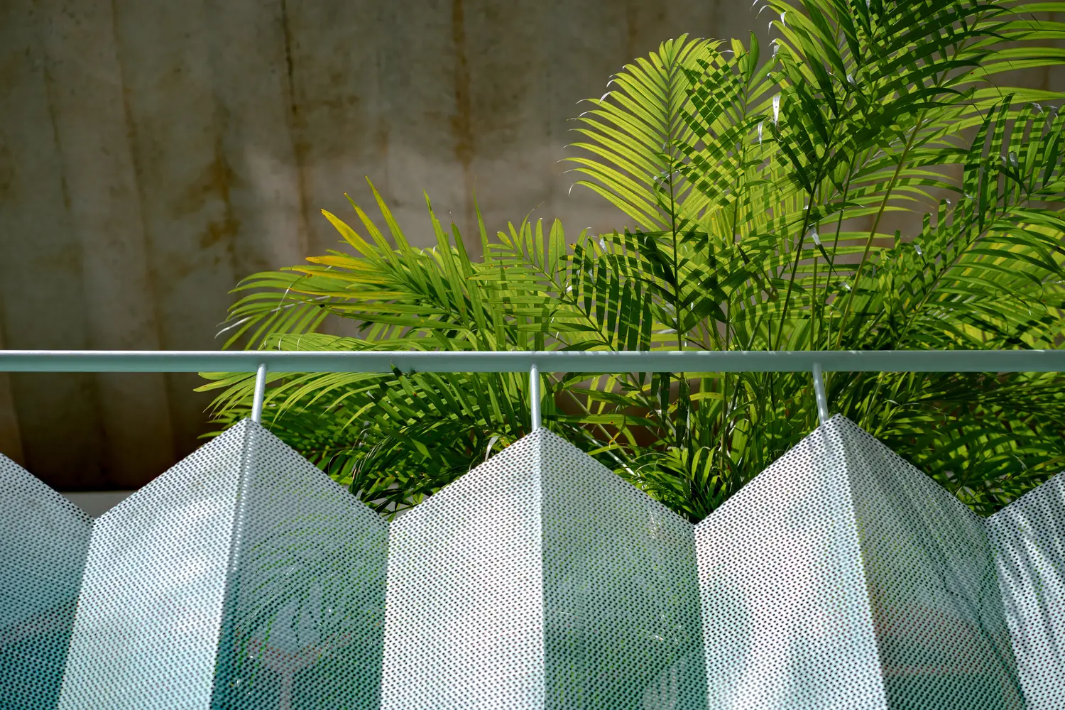 Kiến Trúc Thể Thao