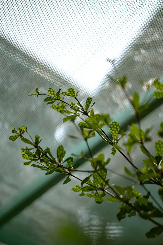 Kiến Trúc Cảnh Quan