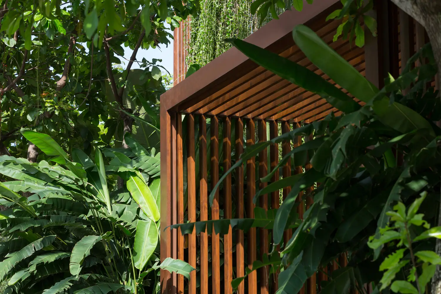 Văn phòng Tony Fruit