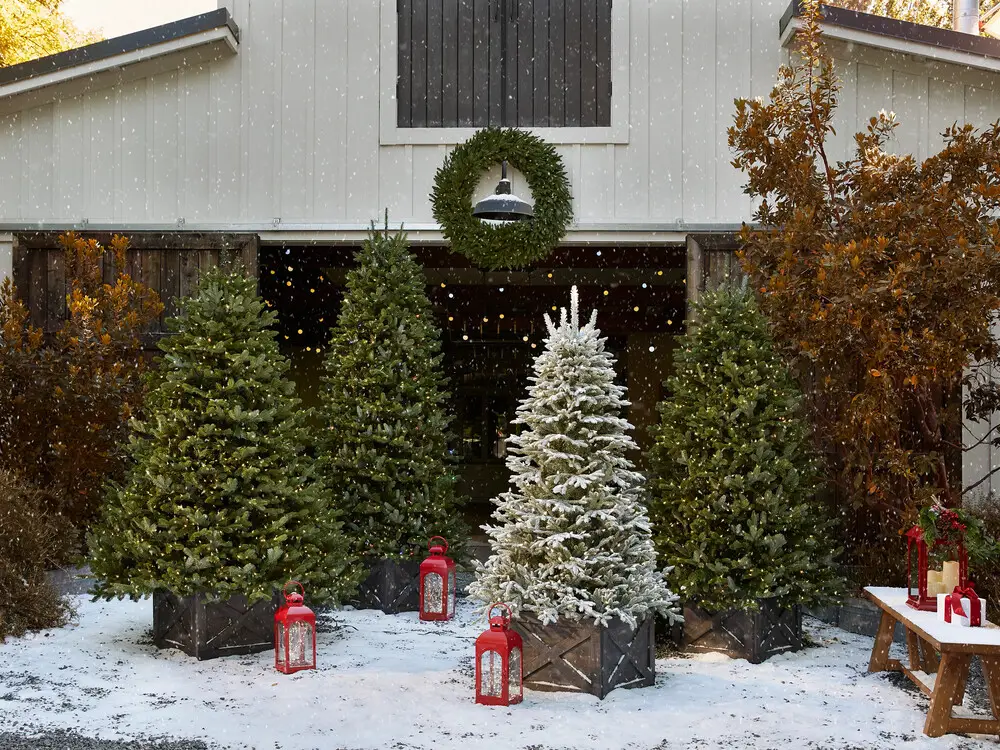 trang trí noel quán cafe bằng phun tuyết giả