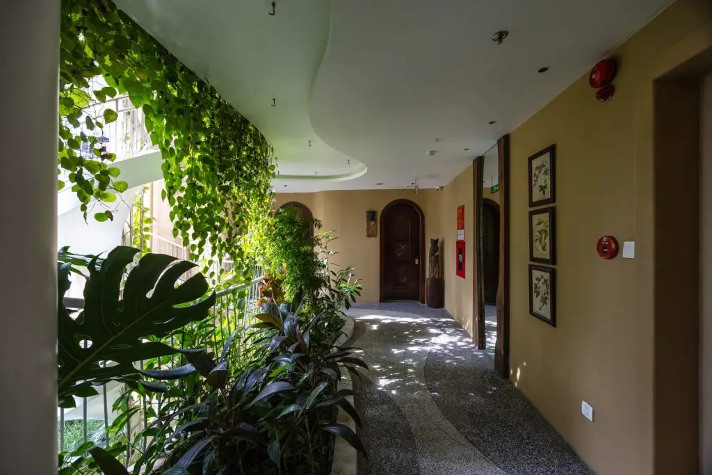 thiết kế nội thất khách sạn phong cách gần gũi thiên nhiên