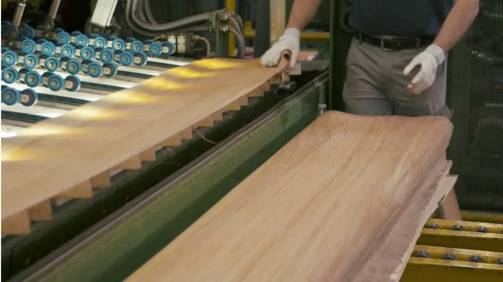 Quy trình sản xuất ván gỗ Plywood phủ veneer 