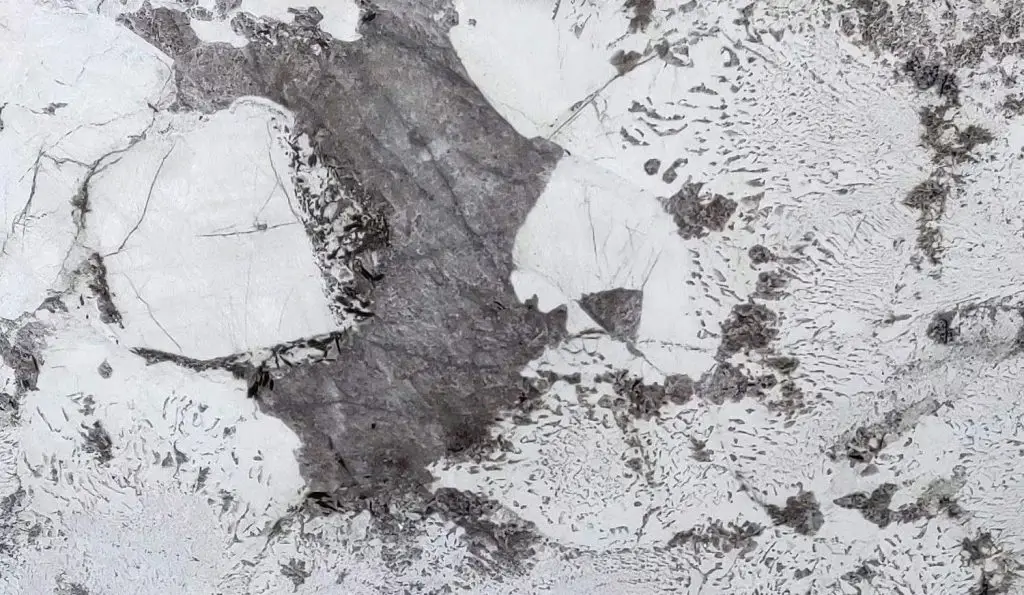 đá granite trắng vân xám, đen ánh vàng