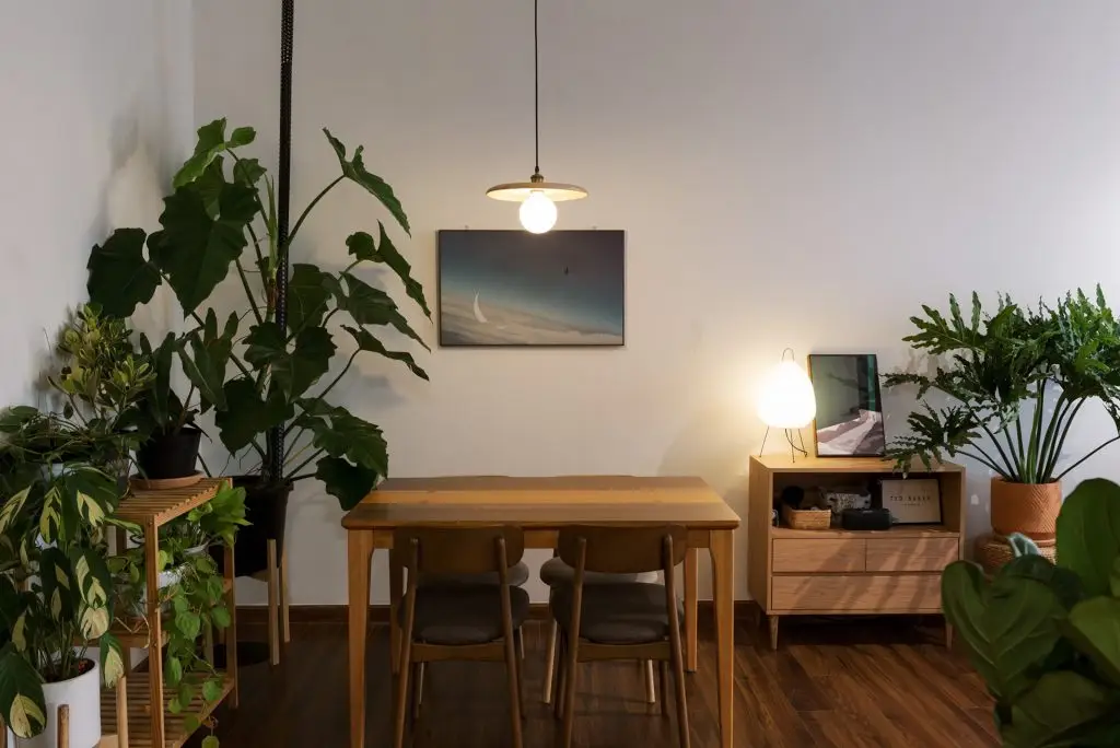 lát sàn gỗ óc chó