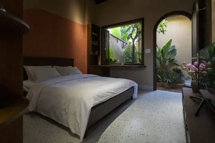 Nấm Sứa House